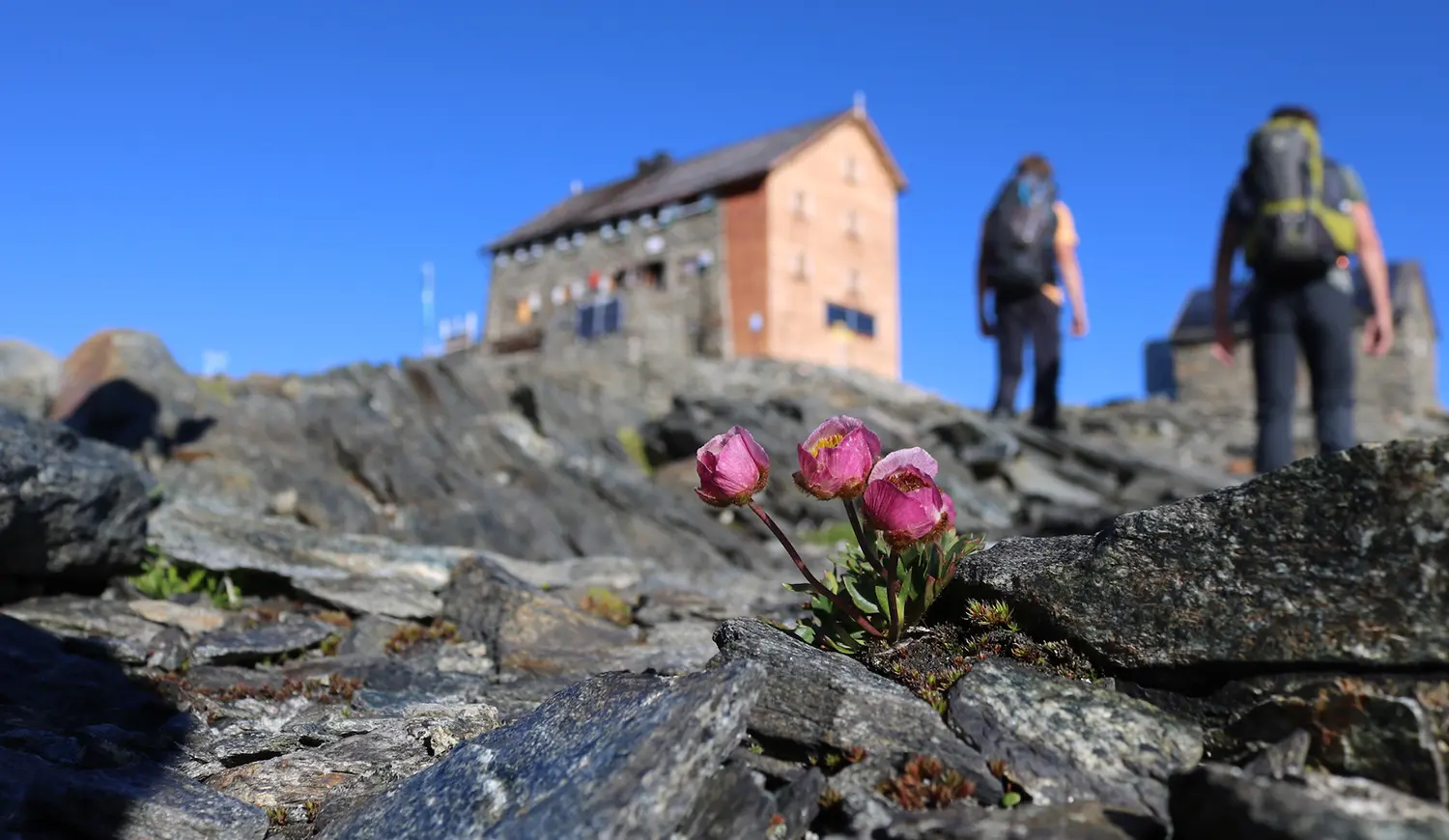 Wandern im Ötztal